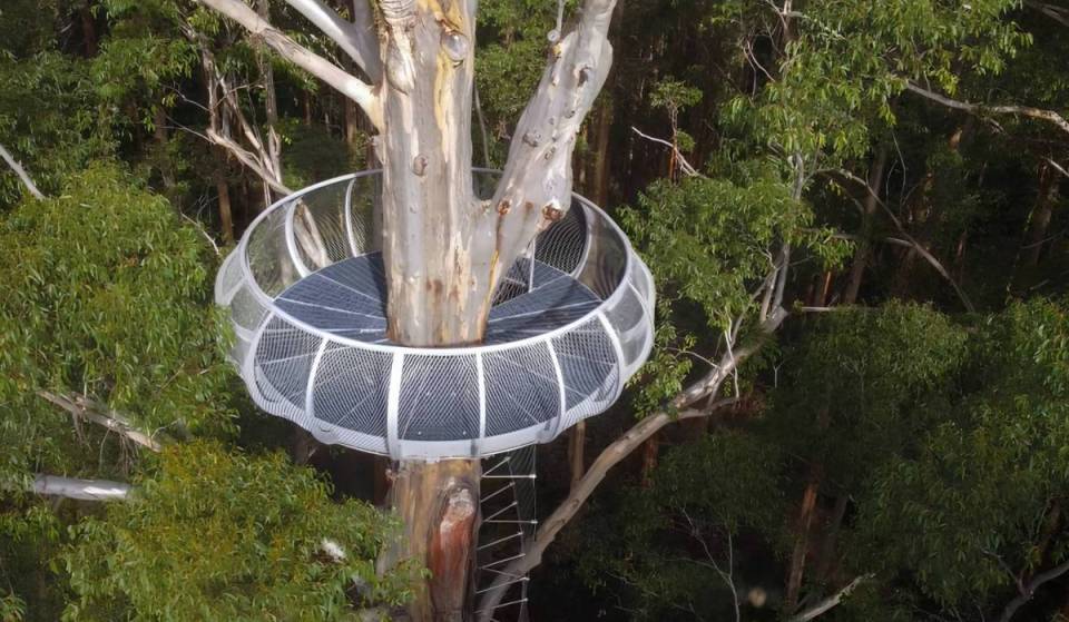 This historic national park landmark just under four hours from Perth has unveiled a massive upgrade – featuring a steep 12-storey climb