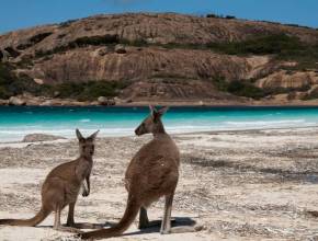 The most beautiful coastal park in WA is a winter paradise – with white sand beaches, turquoise waters, and wild kangaroos hopping