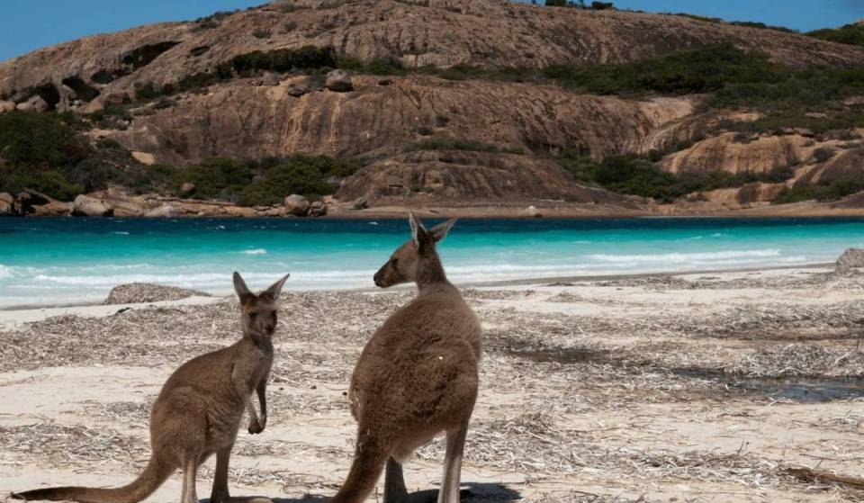 The most beautiful coastal park in WA is a winter paradise – with white sand beaches, turquoise waters, and wild kangaroos hopping