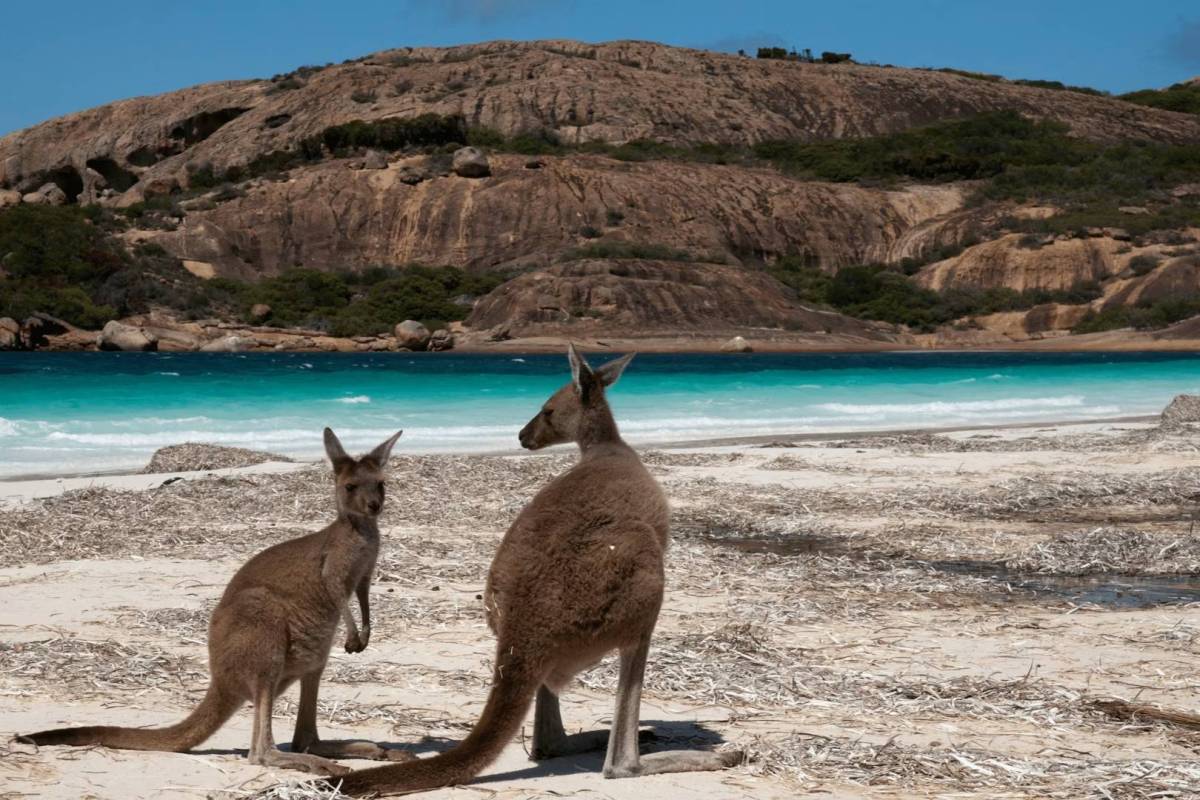 The most beautiful coastal park in WA is a winter paradise – with white sand beaches, turquoise waters, and wild kangaroos hopping