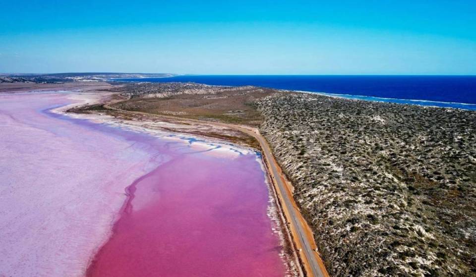 This striking WA pink lake feels AI-generated— with vivid fairy floss waters and a historic village just 5.5 hours from Perth