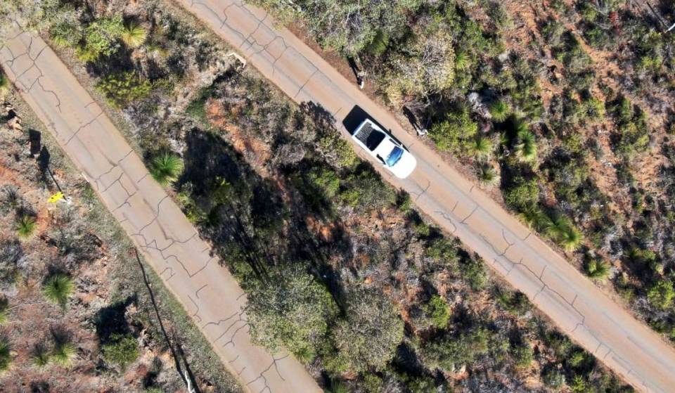 This unique zigzag road is 40 minutes from Perth – with expansive views of the coast and free entry for wildflower season