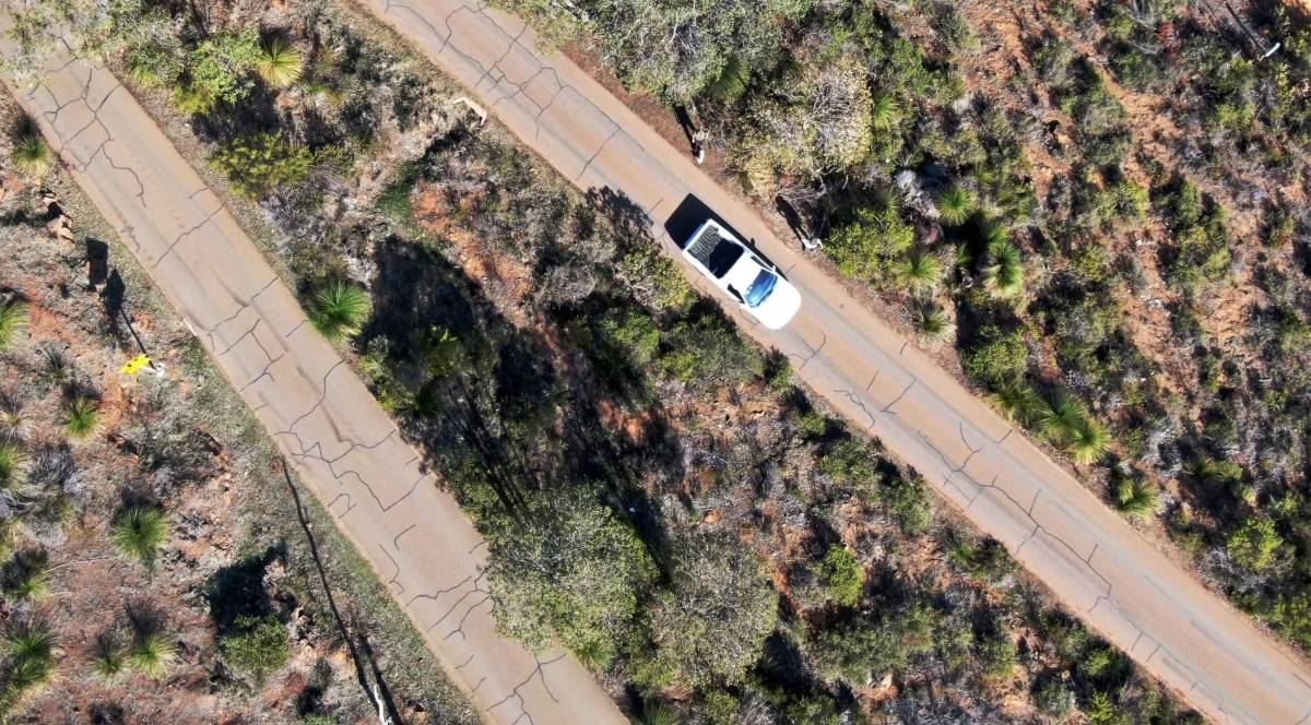 This unique zigzag road is 40 minutes from Perth – with expansive views of the coast and free entry for wildflower season