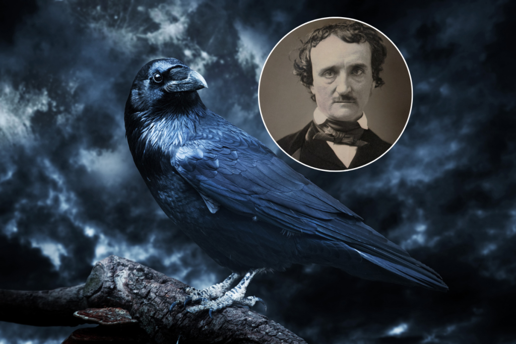 A collage displaying a raven and Edgar Allan Poe