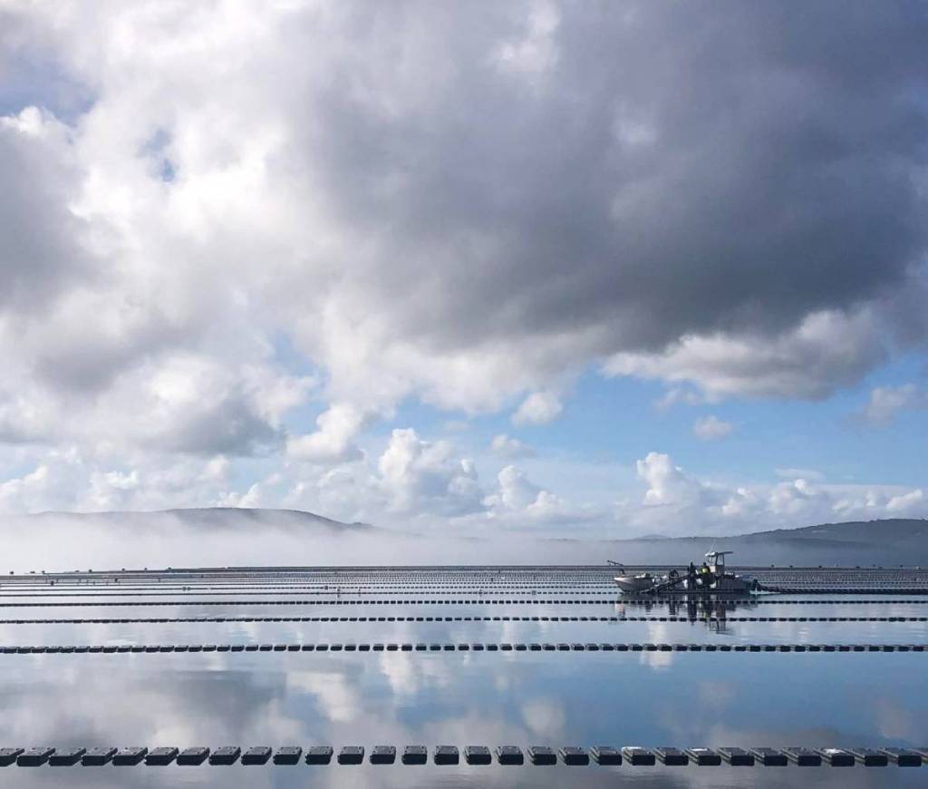 Albany Rock Oyster Farm