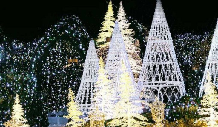 Immerse Yourself In This Twinkling Winter Wonderland Of Lights Opening Soon At Wells Fargo Center