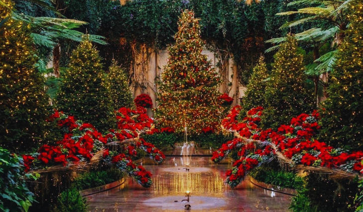 10 Magical Philly Spots To See This Year’s Dazzling Holiday Lights