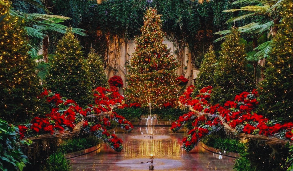 10 Magical Philly Spots To See This Year’s Dazzling Holiday Lights
