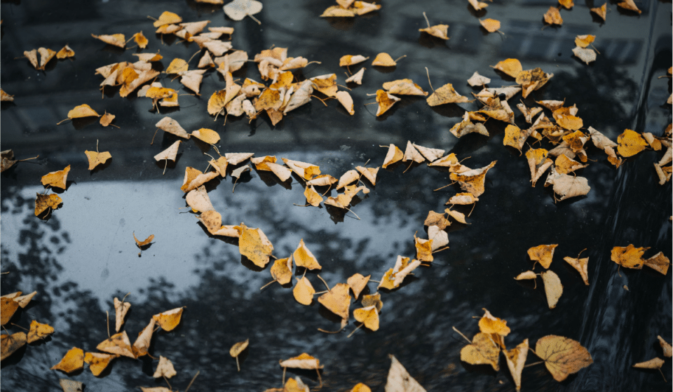8  Cute Fall Date Ideas That Your Partner Will Love
