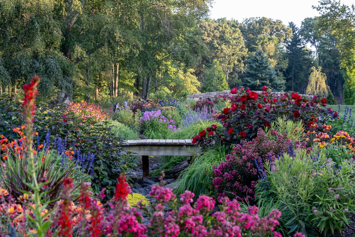 Just 1 hour from Philadelphia: This hidden garden only opens to the public once a year—and admission is free