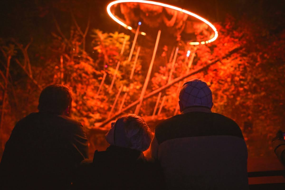 Guests marvel at the lights of Astra Lumina
