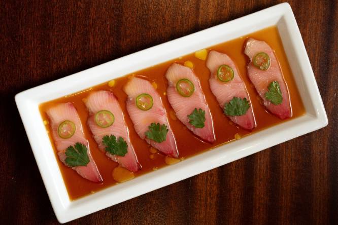 Japanese fusion food