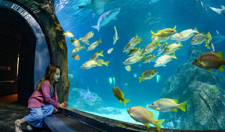 The Only Aquarium In The World To Exhibit Hippos Is 11 Minutes From Philadelphia