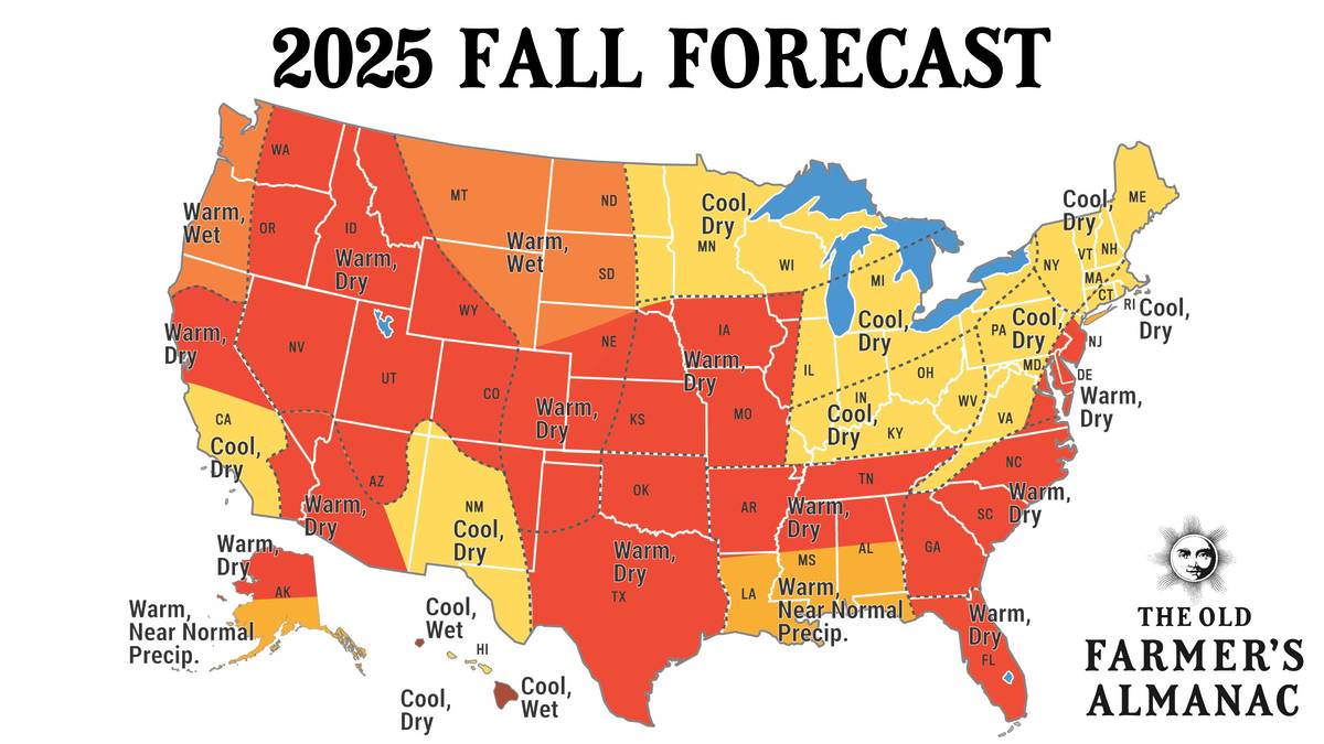 2025 fall forecast