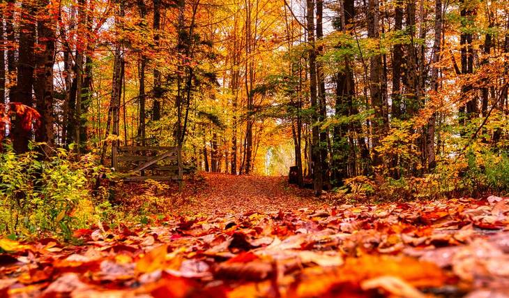2025 Fall Forecast: Warmer and Drier Season Ahead For Philadelphia According to The Old Farmer&#8217;s Almanac