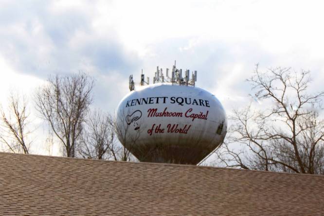 Kennett Square, mushroom capital of the world