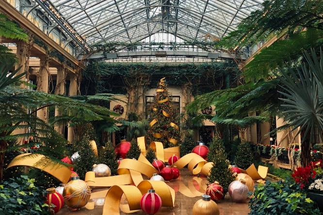 Longwood Gardens during Christmas