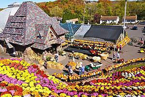 Climb a 40-Foot Mountain Of Mums At This Colorful Fall Destination Just Outside Of Philadelphia