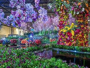 15 Stunning Things You Can’t Miss At The 2026 PHS Philadelphia Flower Show