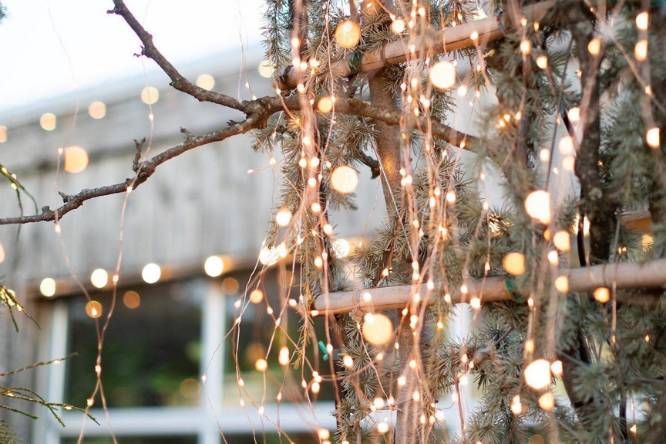 woodland village terrain cafe