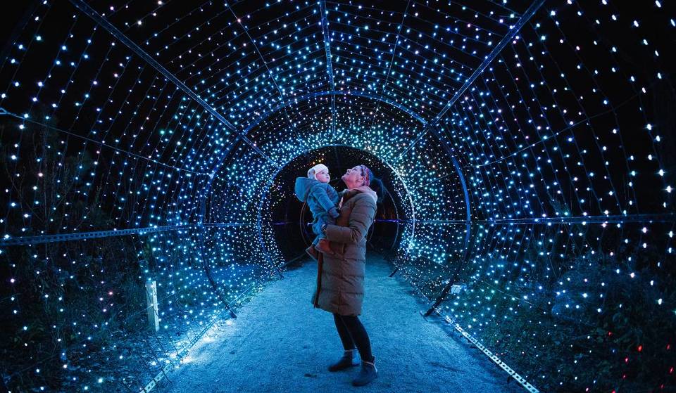 Philadelphia Zoo’s LumiNature Holiday Light Show Returns with 110-Foot Ferris Wheel, Santa’s Lodge, and Over a Million Lights