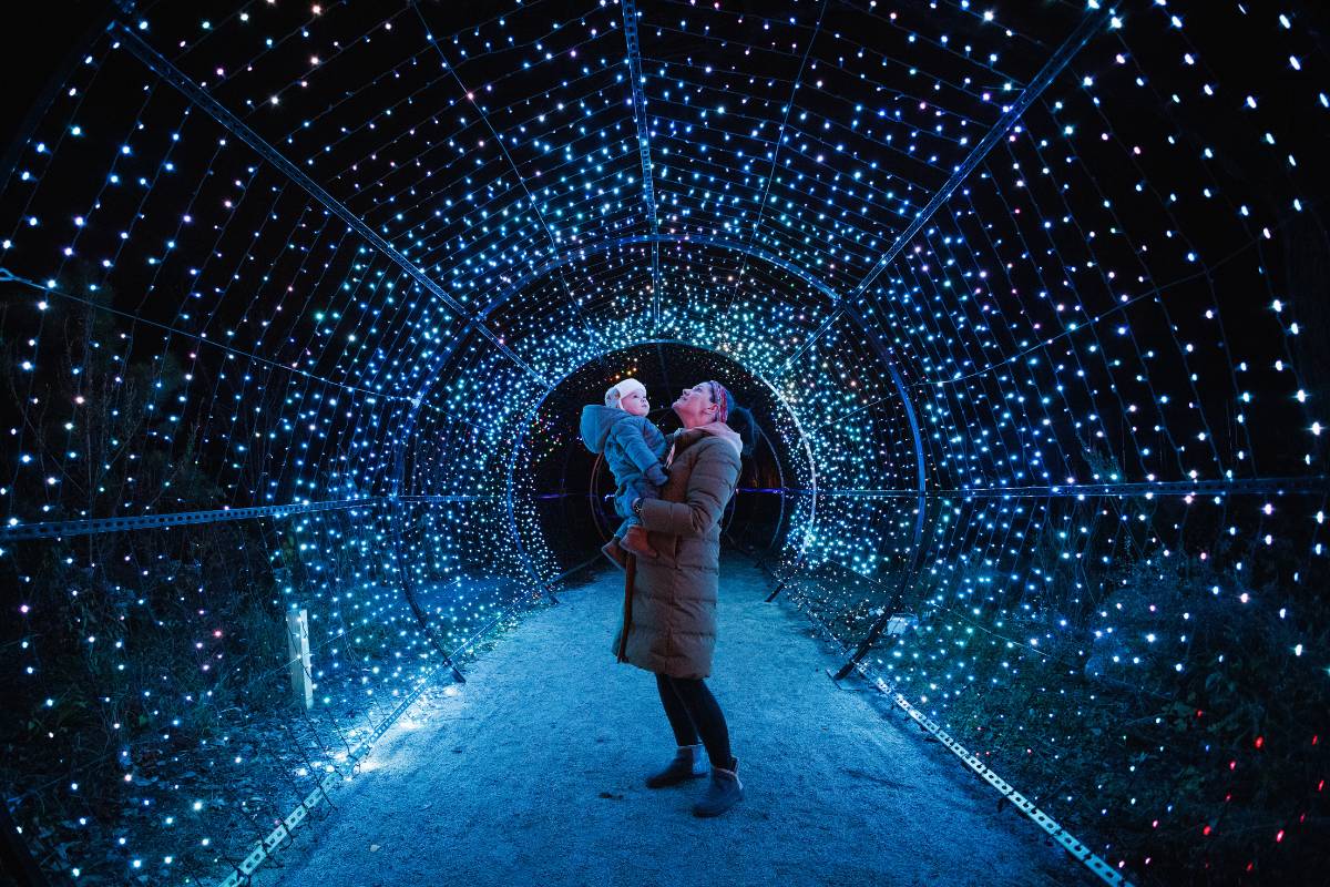 2025 Philly Zoo LumiNature Returns With 110-Ft Giant Ferris Wheel