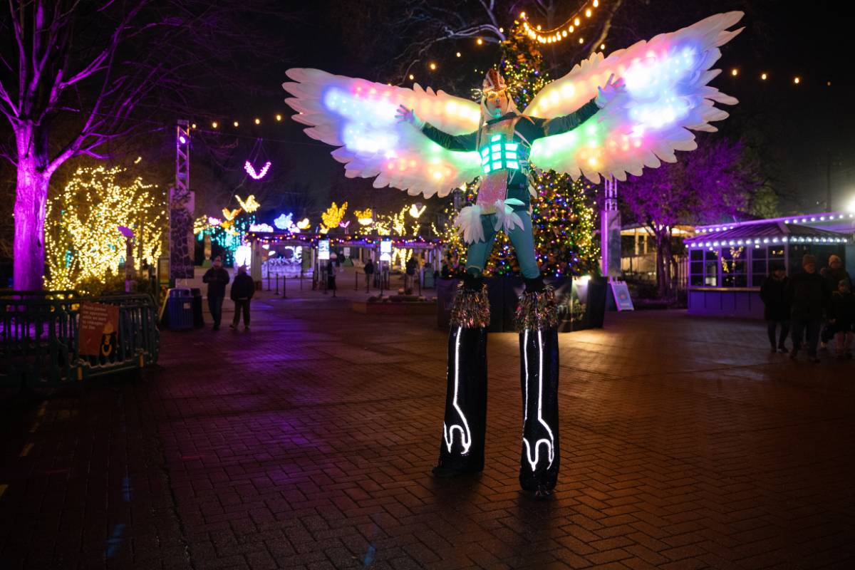 Luminature slit performer