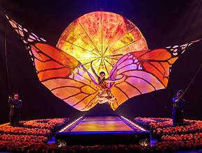 Tickets Just Got Released For Cirque du Soleil LUZIA In Oaks, PA  — Here’s How To Secure Your Spot To The &#8220;Surreal Love Letter To Mexico&#8221;