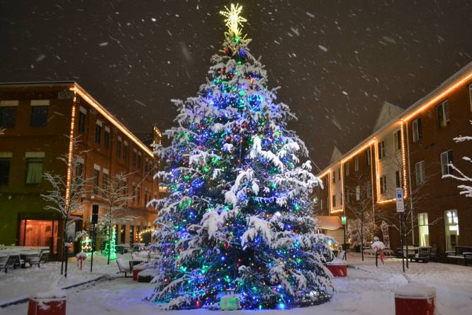 Indiana, PA known as The Christmas Tree Capital of the World