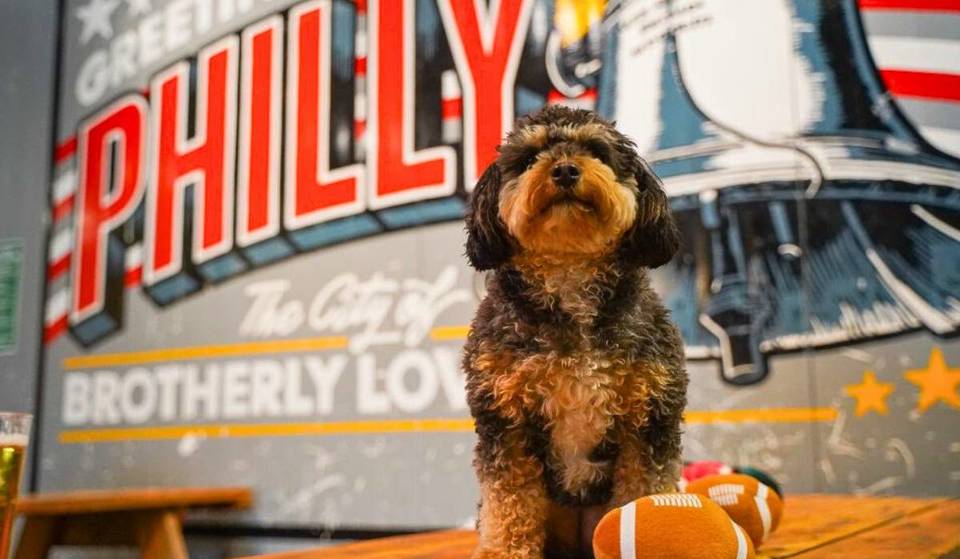 This Beloved Philadelphia Brewery Is Hosting A Huge ‘Bark Bowl’— And $1 From Every Drink Goes To Help Local Animals
