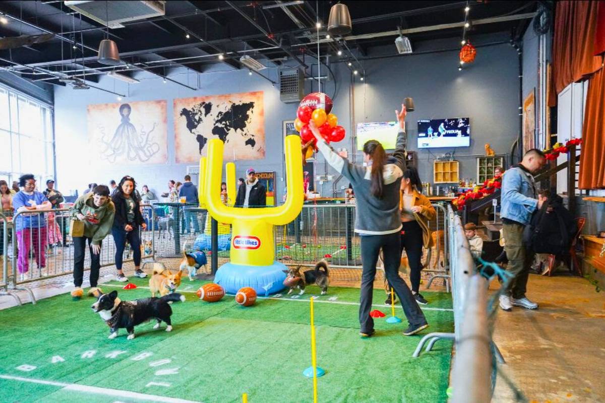 Craft Hall Bark Bowl