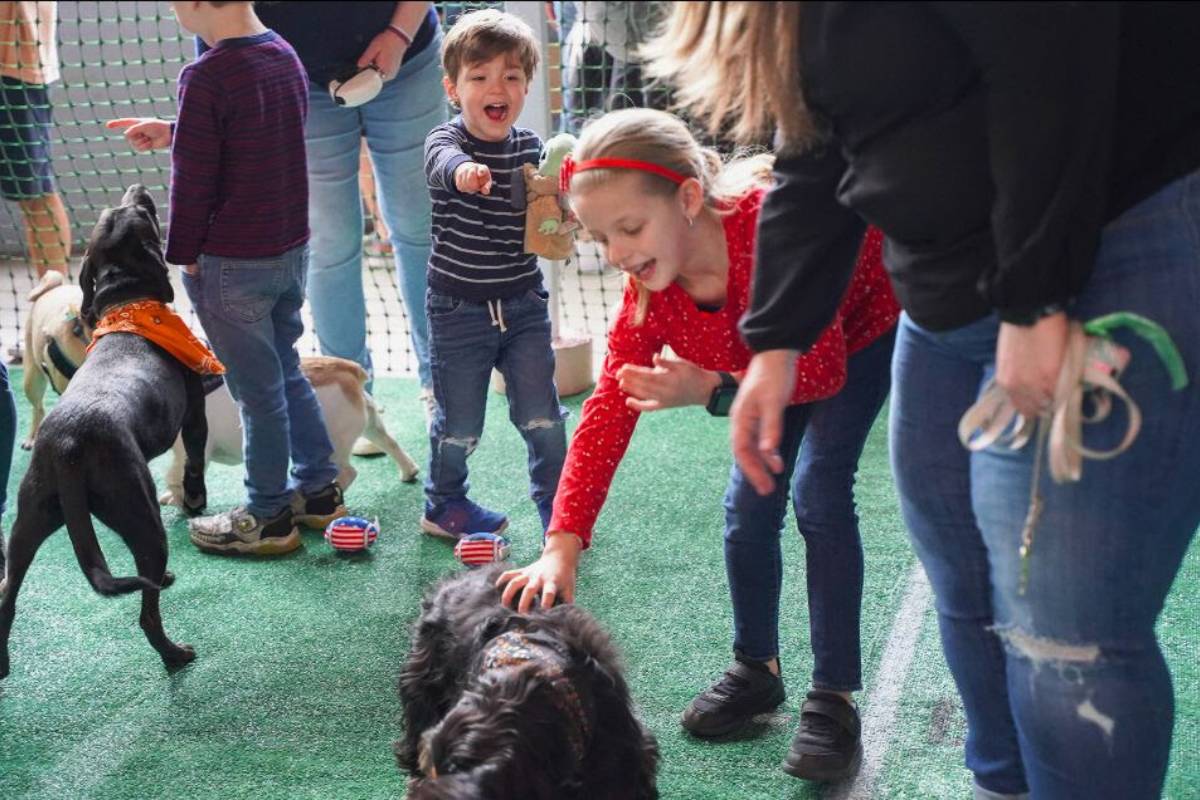 Bark Bowl Craft Hall