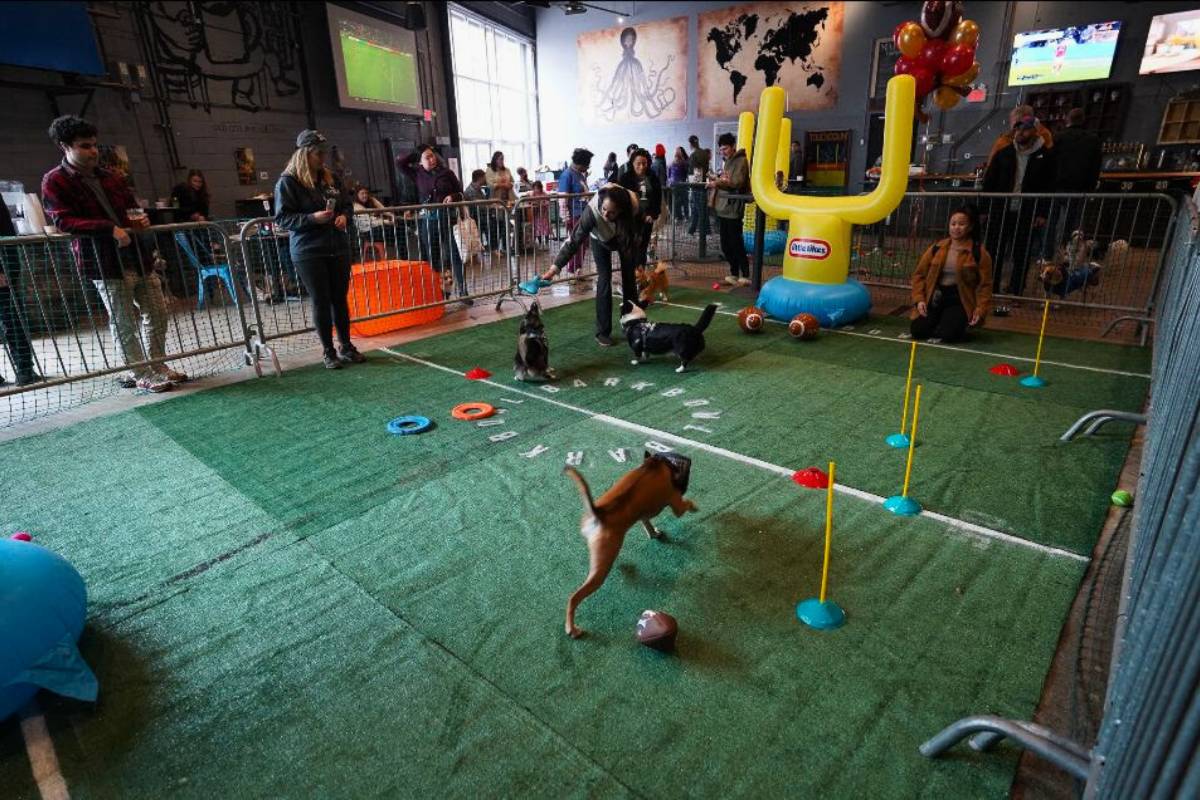 Bark Bowl Craft Hall