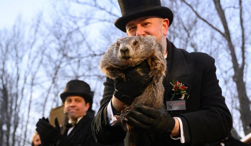 The Oldest Groundhog in America Is Still Standing — And He’s Pennsylvania’s Most Unexpected Celebrity