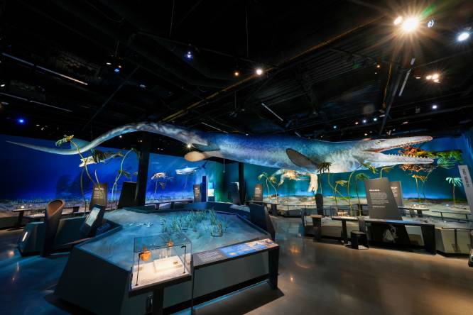 Edelman Fossil Park & Museum