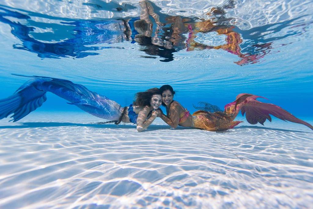 Mermaids at Adventure Aquarium