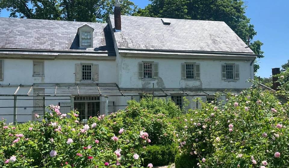 Several Roses Thought To Be Extinct Were Rediscovered In This Secret Germantown Garden — And You Can Visit Them For Free