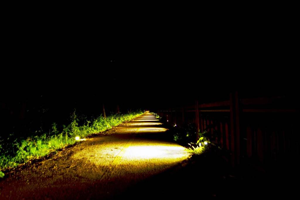 You Can Explore A 130-Year-Old Hidden Trail Under The Stars At This Exclusive Philly Night Hike