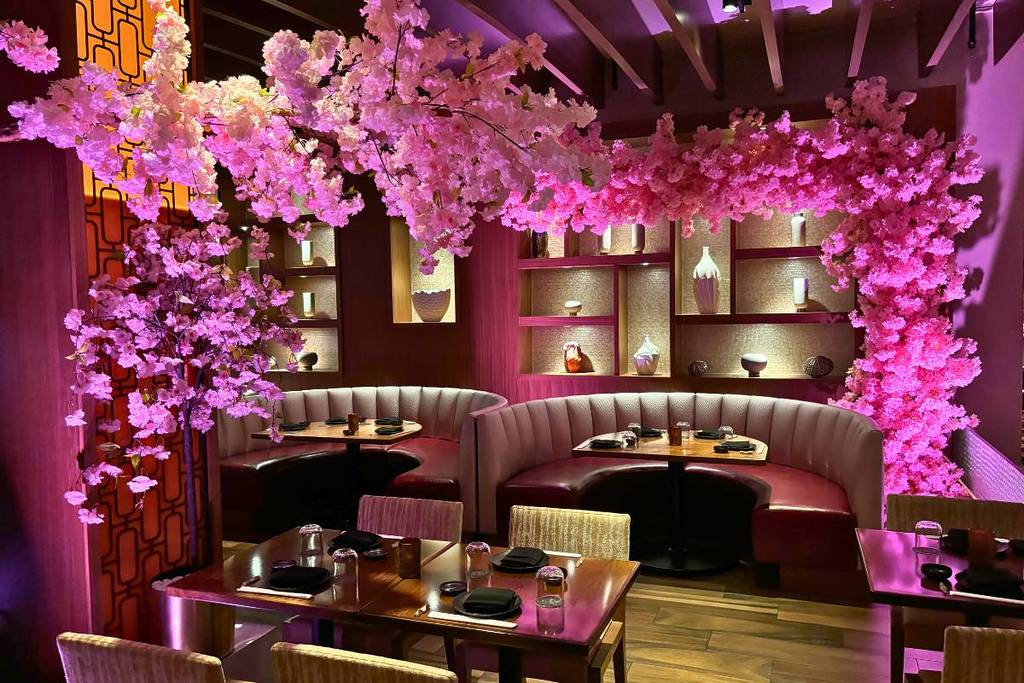 cherry blossoms at Kuro