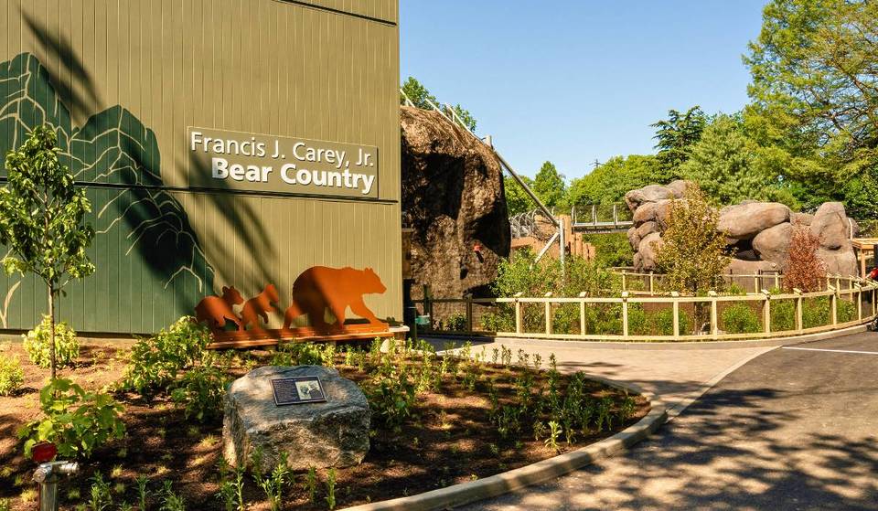 The most ambitious zoo project in a decade has officially opened in Philadelphia with 60% more space — and it brings you nose-to-nose with vulnerable bears