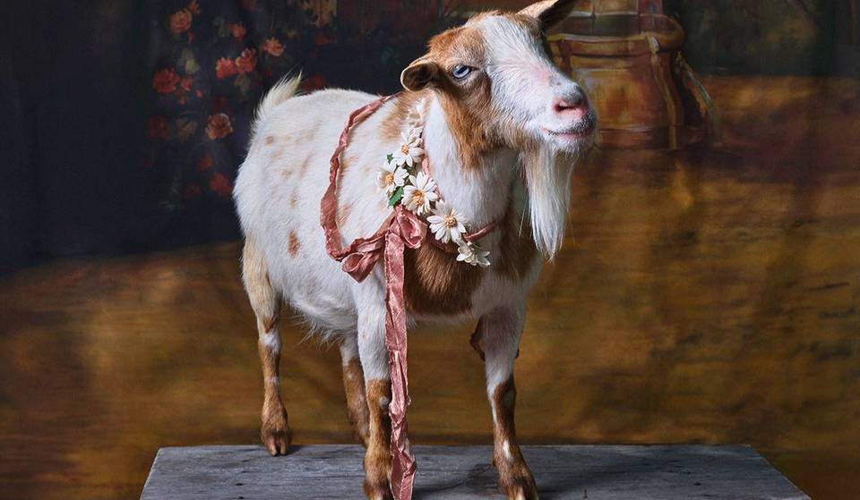 This one-night-only goat cocktail party in Philadelphia lets you enjoy art, sip drinks, and hang out with adorable goats
