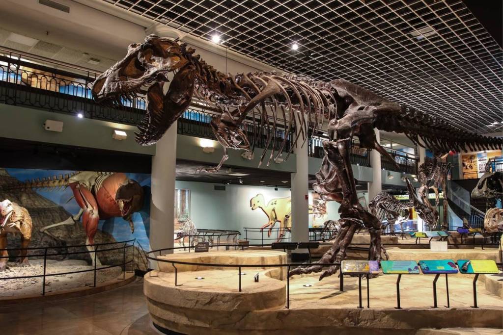 Academy of Natural Sciences