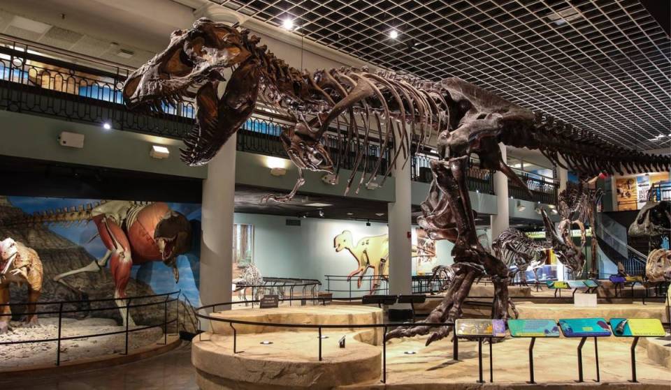 Philadelphia’s Academy of Natural Sciences will close its museum doors after nearly 200 years