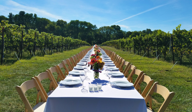 “The Cake Bible” author and 24 Philly chefs are hosting an epic open-air feast at a Delaware River mansion — featuring a “grand cake table” and $200 tickets
