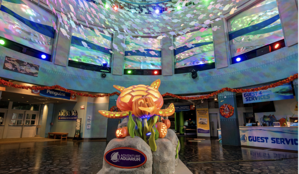 Adventure Aquarium is shutting its doors to kids for an exclusive 21+ ‘Harvest with the Hippos’ this October—featuring glowing underwater pumpkins, cocktails, and an after-hours fall feast for the world’s only aquarium hippos