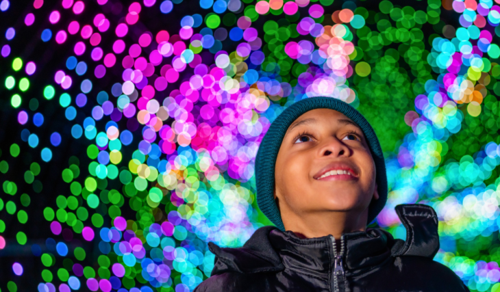 Philadelphia Zoo adds 1 million lights and a 40-foot penguin to Fairmount Park; the LumiNature trail opens November 19 with a rare 110-foot Ferris wheel