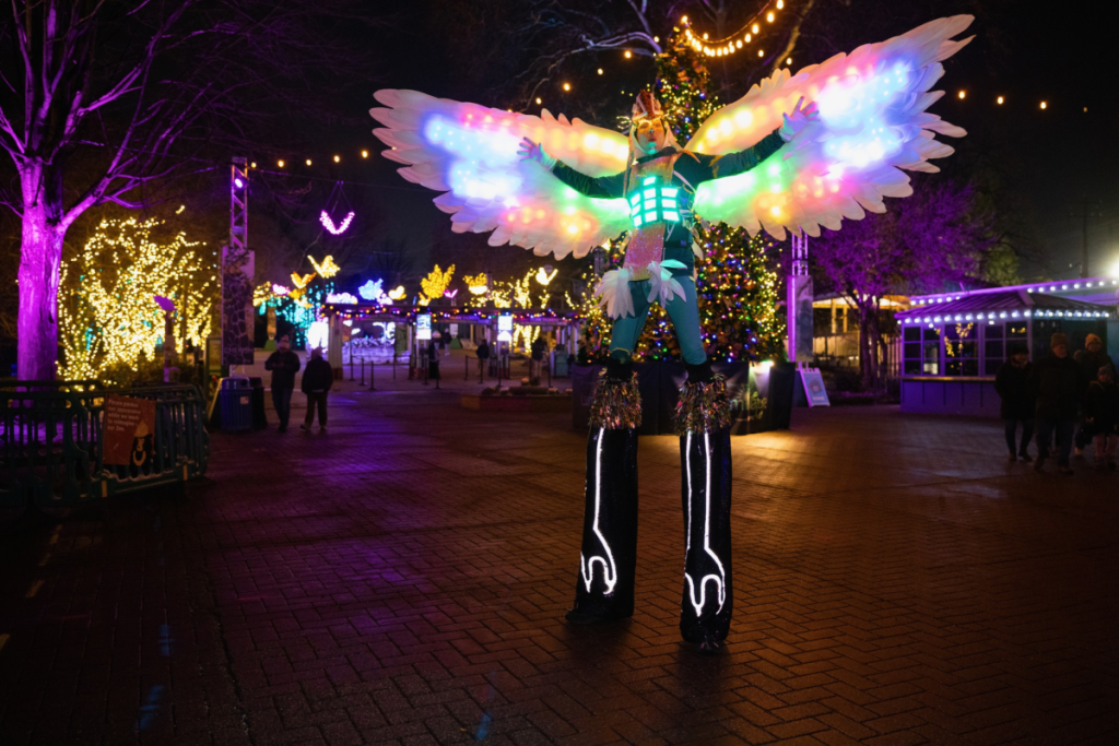 light performer