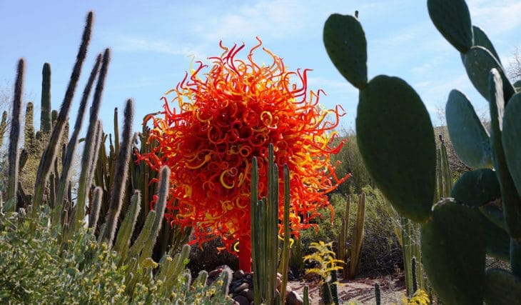 Tickets For “Chihuly In The Desert” Will Go On Sale Next Monday
