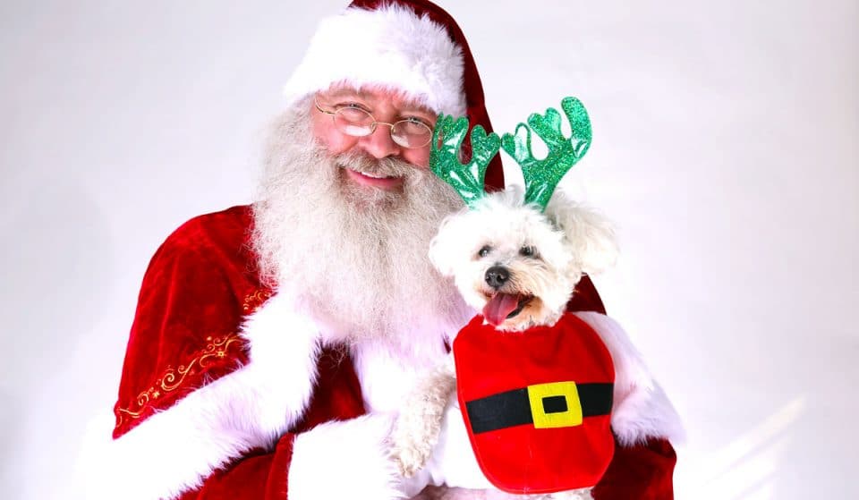 Take Your Pup To Meet Santa At Arrowhead Towne Center
