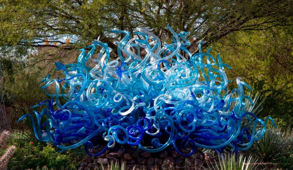 11 Things To Do This June In Phoenix